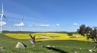 Collector Wind Farm officially opens
