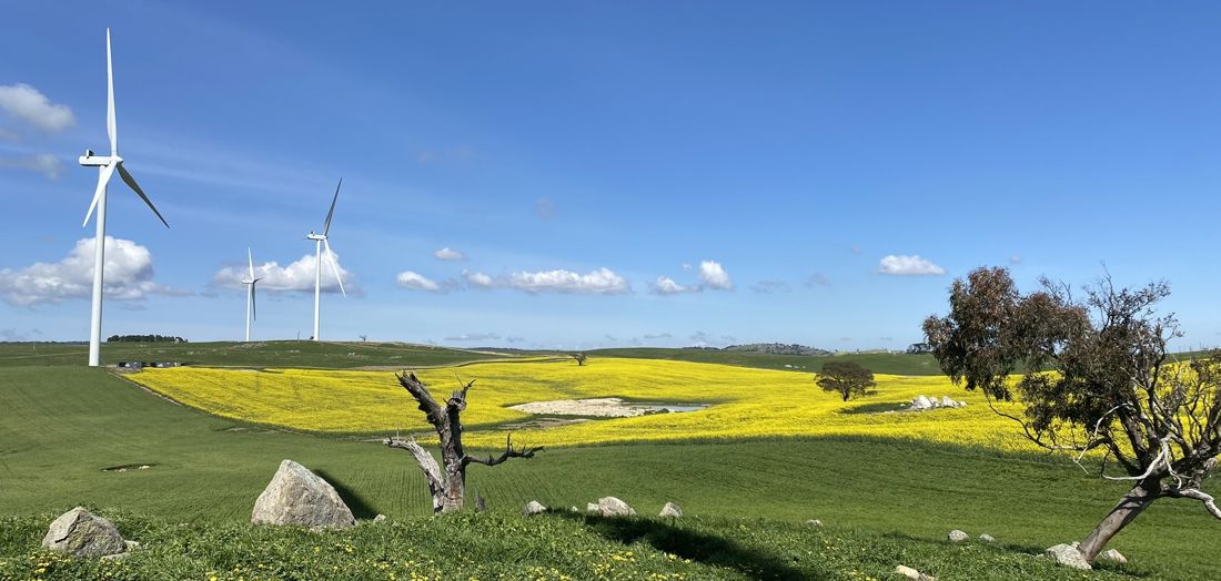 Collector Wind Farm officially opens