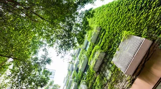 Decarbonising Australia’s housing sector with green RMBS Decarbonising Australia’s housing sector with green RMBS