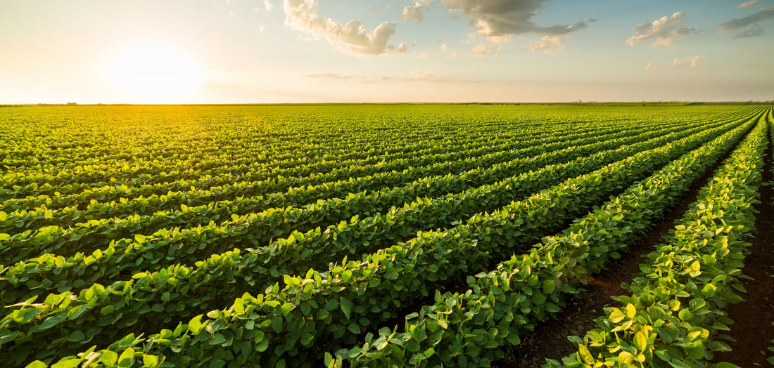 Regenerative farming on track 