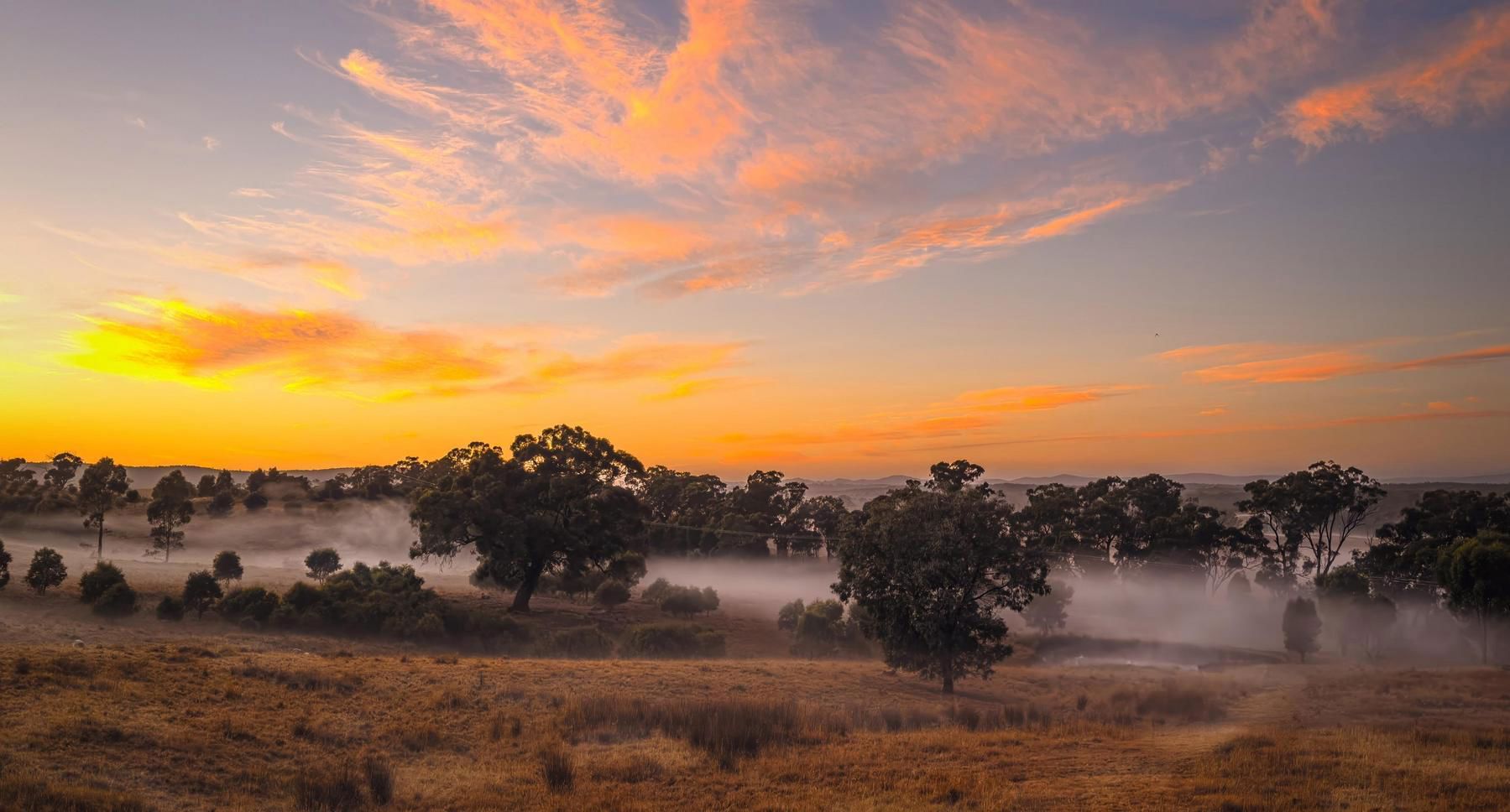 Industry leaders commit to improve protection of First Nations cultural heritage