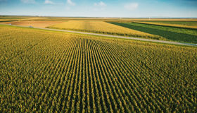 CEFC Investment Insights: Clean energy and asset finance CEFC Investment Insights: Clean energy and asset finance