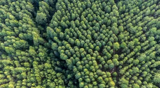 Natural capital resources harnessed for net zero transition Natural capital resources harnessed for net zero transition