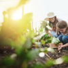 NGS Super a step closer to 2030 carbon neutral target with investment in Australian Unity’s Green Bond Fund