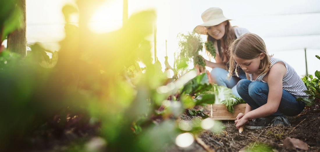 NGS Super a step closer to 2030 carbon neutral target with investment in Australian Unity’s Green Bond Fund