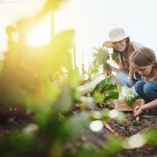 Istock 1097881656 Istock 1097881656