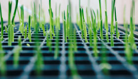 Private equity and the race to net zero emissions