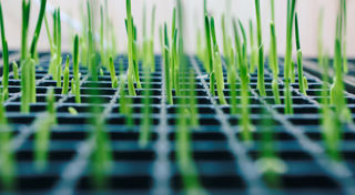 Private equity and the race to net zero emissions