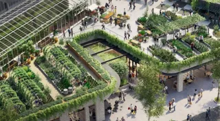 Presenting the case for regenerative decarbonisation in Australian build-to-rent developments Presenting the case for regenerative decarbonisation in Australian build-to-rent developments