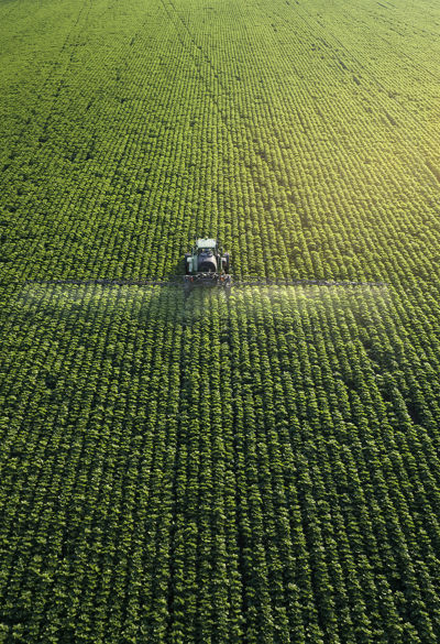 Sustainable economy - Agribusiness Sustainable economy - Agribusiness