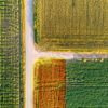 cutting land-based emissions