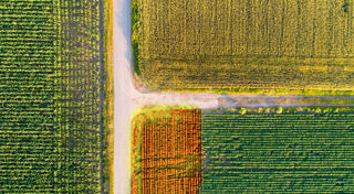 Validation for Downforce Technologies approach to soil carbon measurement