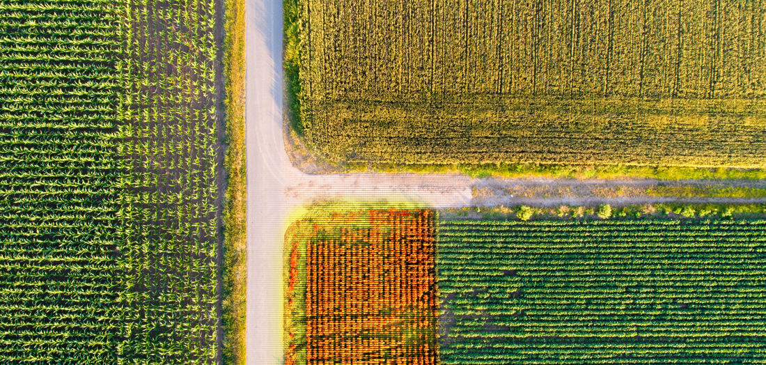 cutting land-based emissions