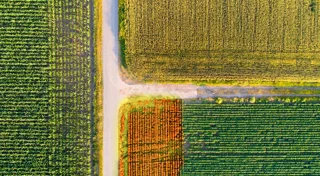 Validation for Downforce Technologies approach to soil carbon measurement Validation for Downforce Technologies approach to soil carbon measurement