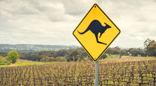 Canada’s pension funds bet big on Australian agriculture Canada’s pension funds bet big on Australian agriculture