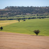 CDPQ's Nicolas Leyssieux and CEFC's Heechung Sung set out how the unusual deal to establish a farmland investment platform while taking an equity stake in Gunn Agri Partners came about.  
