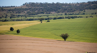 Agri Investor looks into Australian farmland investment by CDPQ and the CEFC 