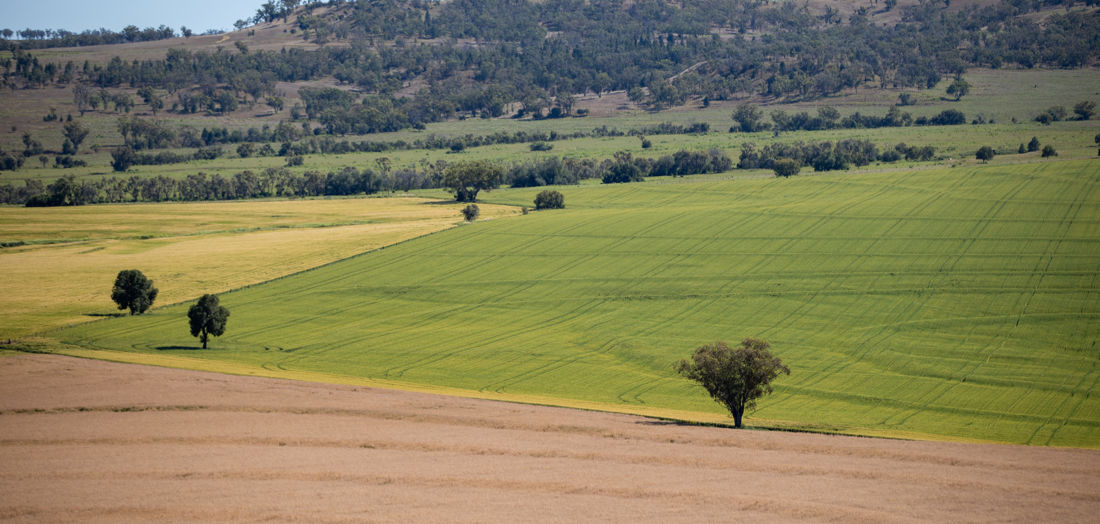 Agri Investor looks into Australian farmland investment by CDPQ and the CEFC 