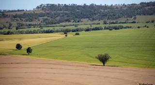 Agri Investor looks into Australian farmland investment by CDPQ and the CEFC  Agri Investor looks into Australian farmland investment by CDPQ and the CEFC