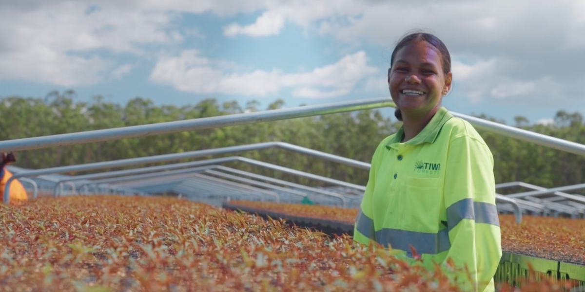 Tiwi Plantations Corporation pioneers game-changing ACCU project 