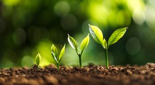 Green Loans Australia and New Zealand
