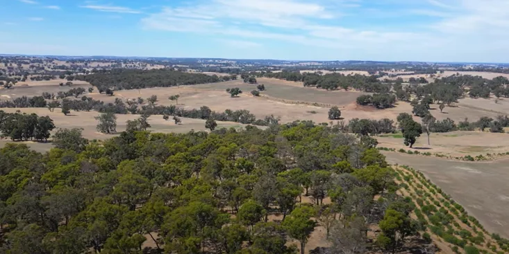 Environmental Plantings Video Environmental Plantings Video