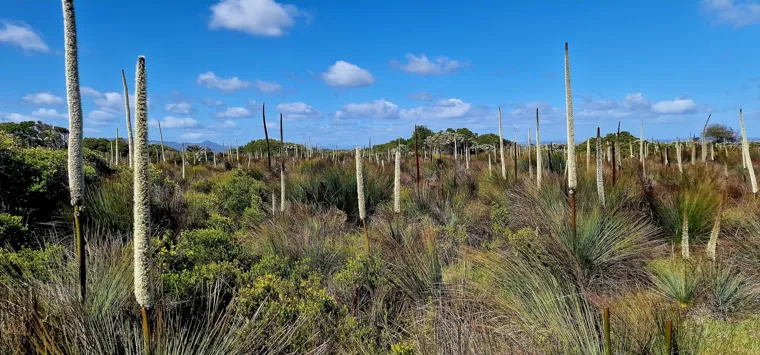 Conservation Area