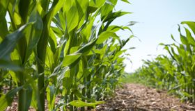 FarmPrint brings practical approach to sustainable agriculture 