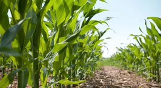 FarmPrint brings practical approach to sustainable agriculture FarmPrint brings practical approach to sustainable agriculture