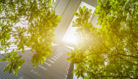 Net zeroing in on PE growth companies 