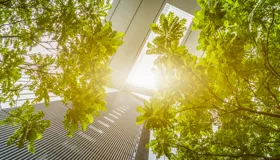 Net zeroing in on PE growth companies  Net zeroing in on PE growth companies