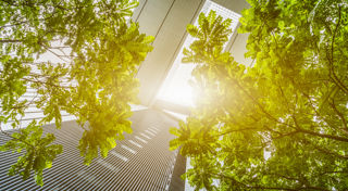 CEFC and IFM Investors bring sustainability focus to mid-market private equity growth companies  