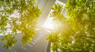 Net zeroing in on PE growth companies Net zeroing in on PE growth companies