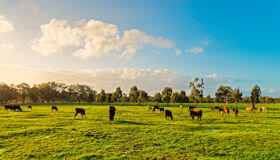Showcasing new technologies and practices to reduce emissions