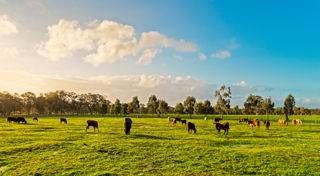 Showcasing new technologies and practices to reduce emissions