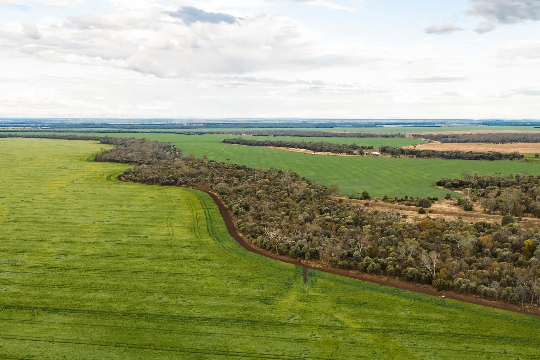 GAP Arcturus Emerald
