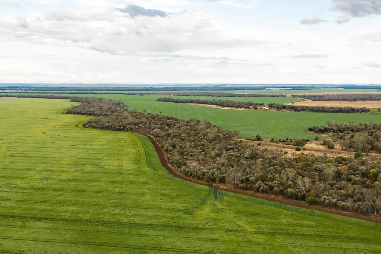 GAP Arcturus Emerald