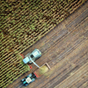 Using microbes to accelerate carbon removal, Loam Bio raises AUD $40m Series A