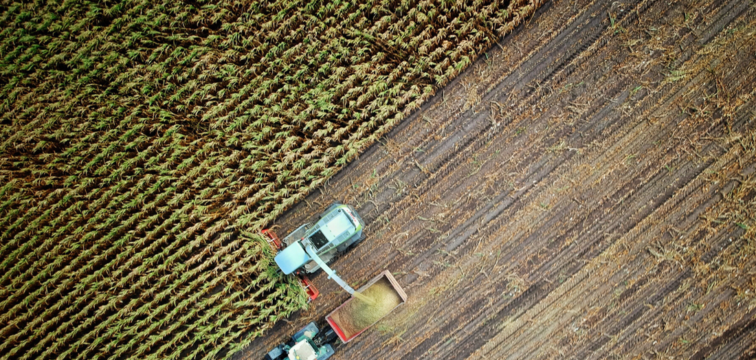 Using microbes to accelerate carbon removal, Loam Bio raises AUD $40m Series A Using microbes to accelerate carbon removal, Loam Bio raises AUD $40m Series A