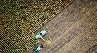 Using microbes to accelerate carbon removal, Loam Bio raises AUD $40m Series A Using microbes to accelerate carbon removal, Loam Bio raises AUD $40m Series A