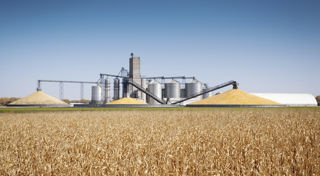 CEFC Investment Insights: Make it happen, Australia’s bioenergy transformation CEFC Investment Insights: Make it happen, Australia’s bioenergy transformation