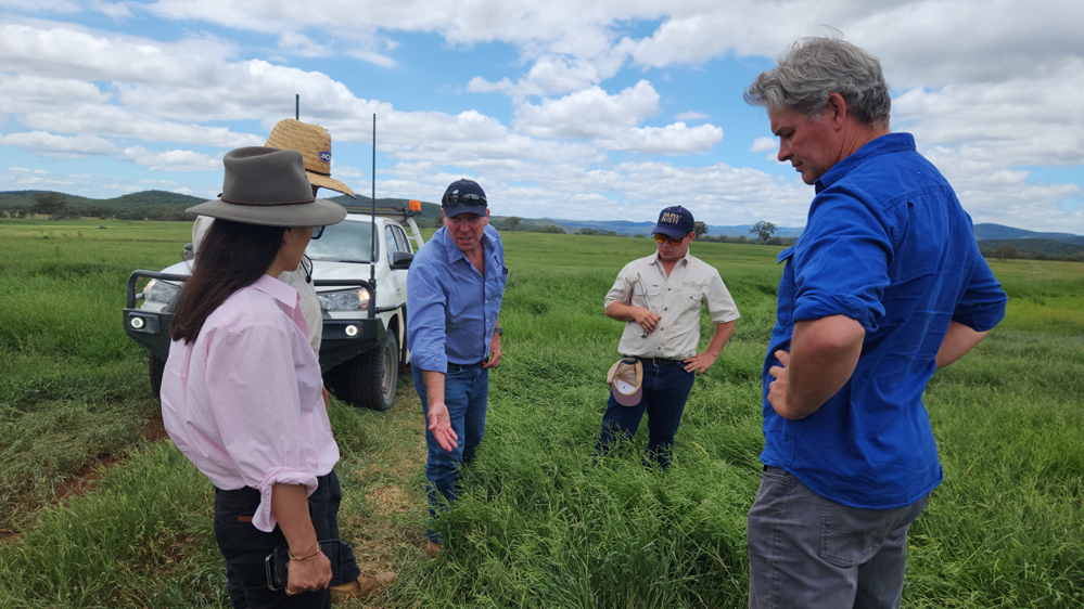 Gunn Agri Partners