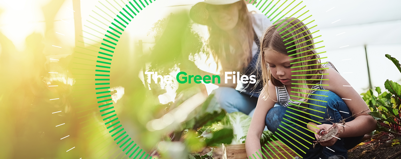 The Green Files: Bill Bovingdon talks next generation investing - Clean ...