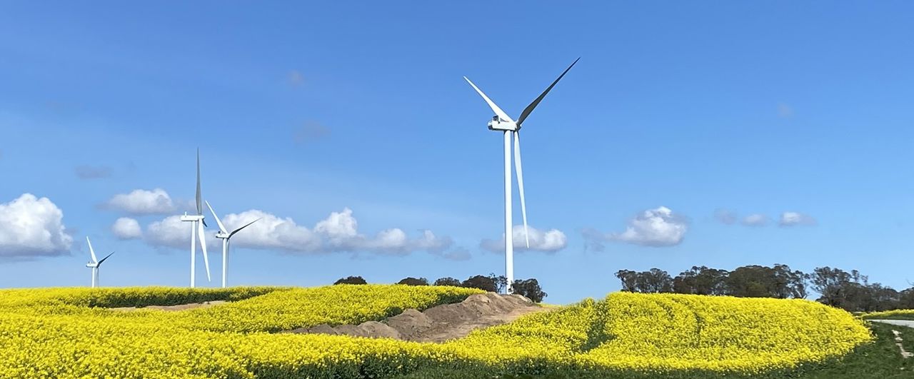 Collector Wind Farm Collector Wind Farm