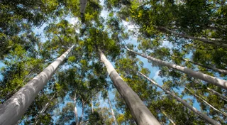 CEFC investment update to 31 December CEFC investment update to 31 December