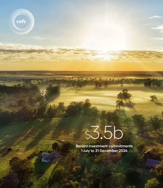 Investment Update July Dec 2024