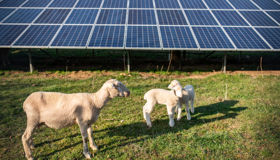 Regenerative agriculture, solar and storage a winning combination