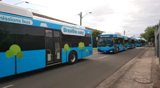 Sydney claims first electrified bus fleet Sydney claims first electrified bus fleet
