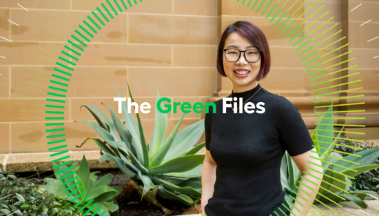 HEUF Green Files HEUF Green Files