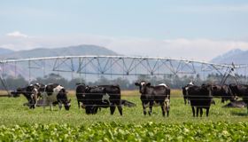 Transforming Australian agriculture with clean energy